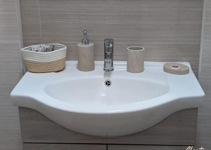 Rosetto * Timişoara